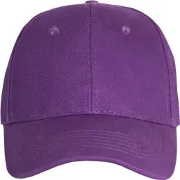 FWRD Promo 6 Panel Cap Purple Front